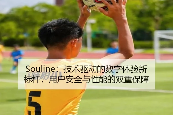 Souline：技术驱动的数字体验新标杆，用户安全与性能的双重保障